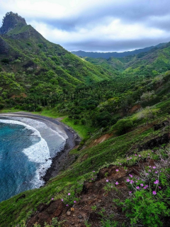 горы, море, mountains, sea, flowers, trees, shore, meadow, grass, sky, nice, see, wide