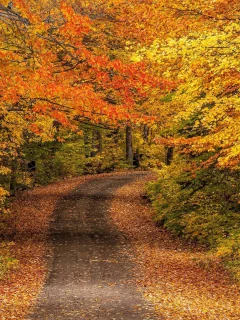 природа, красота