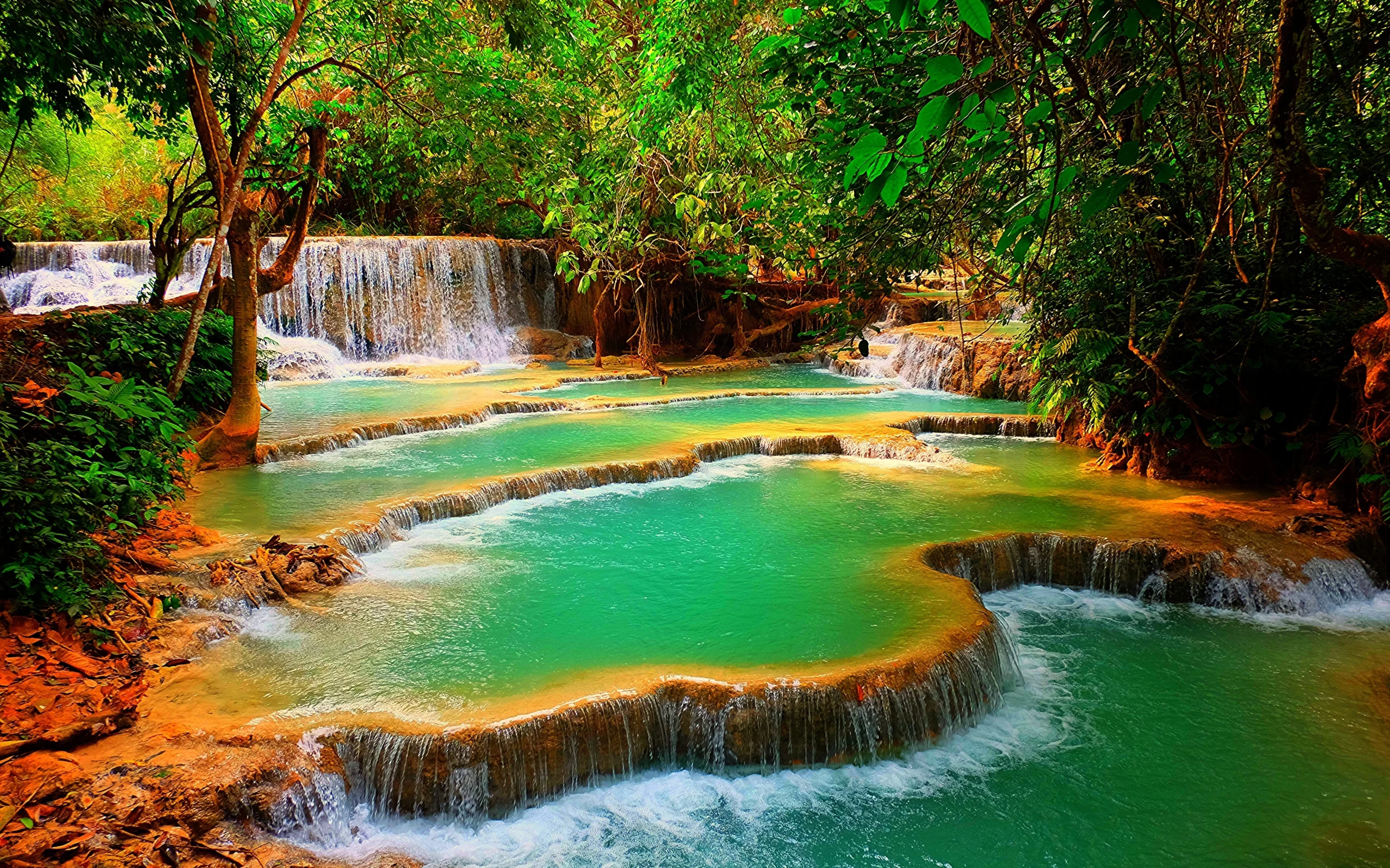 водопад, каскадный, тропики, waterfall, waterfall, tropics, forest, tree, trees, water, day, light, see, nice, wide