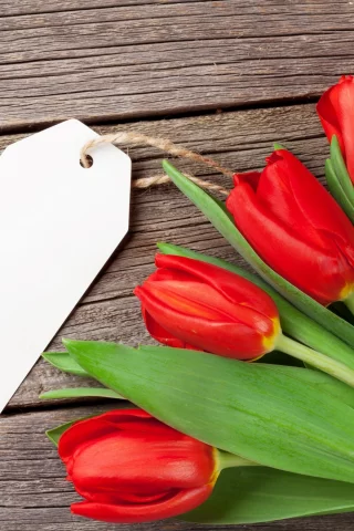 love, wood, тюльпаны, romantic, tulips, любовь, букет, red, flowers, цветы