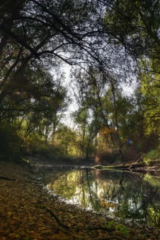 природа, красота