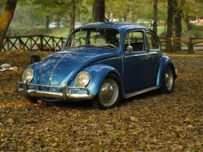 автомобиль, фольксваген, жук, car, volkswagen, beetle, front, blue, park, autumn, path, classic, leaves, oldtimer, light, see, nice, wide