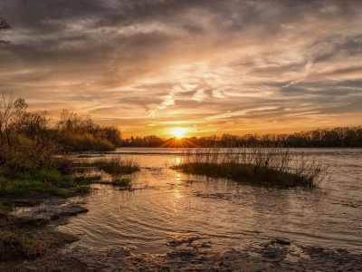 природа, красота