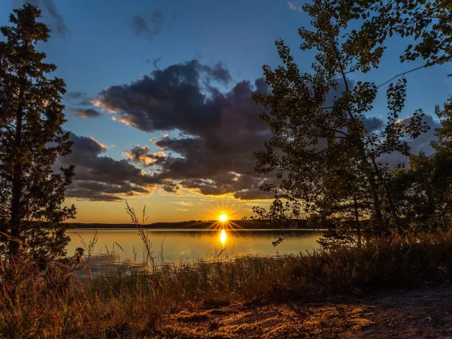 природа, красота