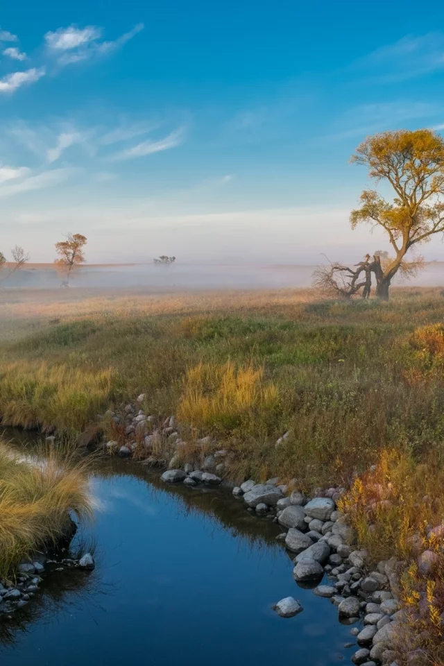 природа, красота