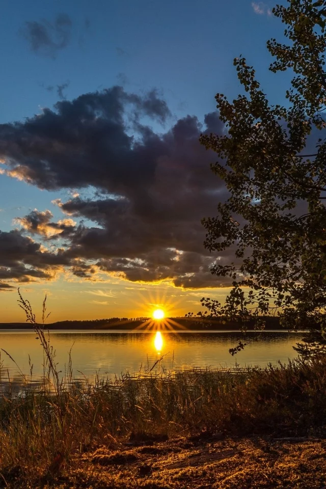 природа, красота