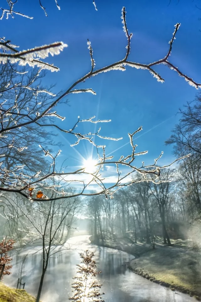 природа, красота