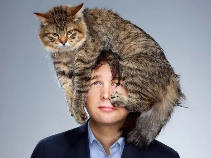 кот, на голове, сидит, smile, male, cat, on the head, sitting, happy, front, smile, room, sun, summer, grey, nice, see, wide