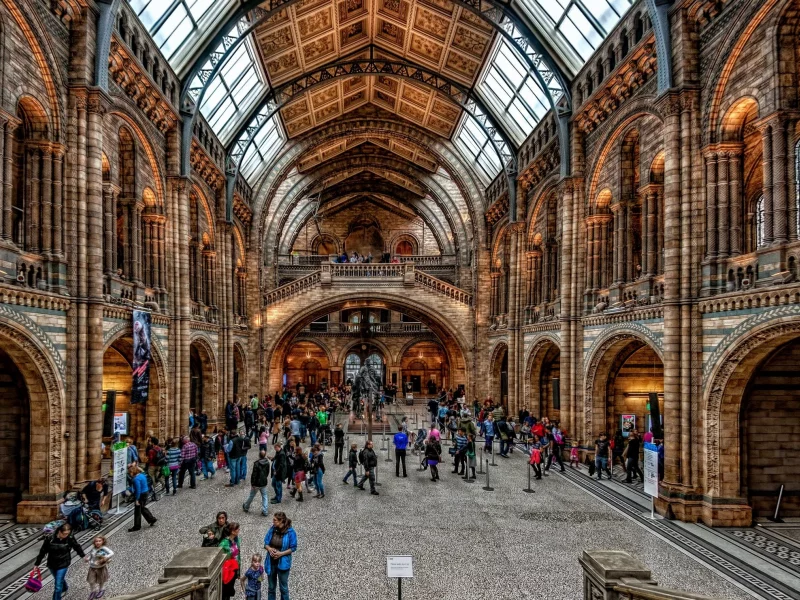лондонский, музей, естественной, истории, london, natural, history, museum, peoples, house, day, light, dark, sun, sky, nice, wide