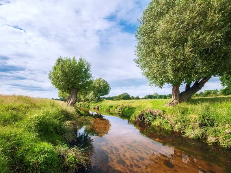 река, луг, лето, river, meadow, summer, tree, grass, water, clear, light, sun, see, nice, wide