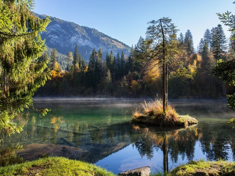 природа, красота