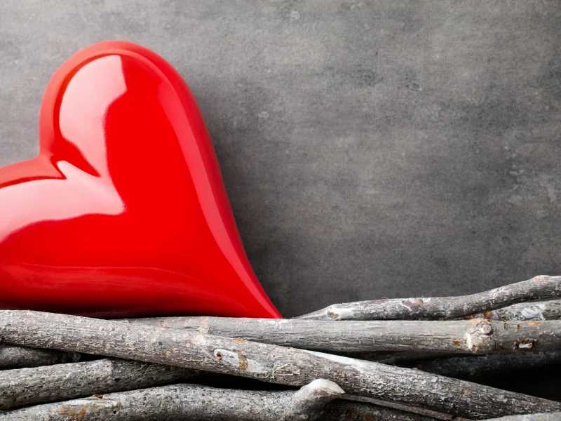 ветки, heart, love, wood, romantic, любовь, сердце, red