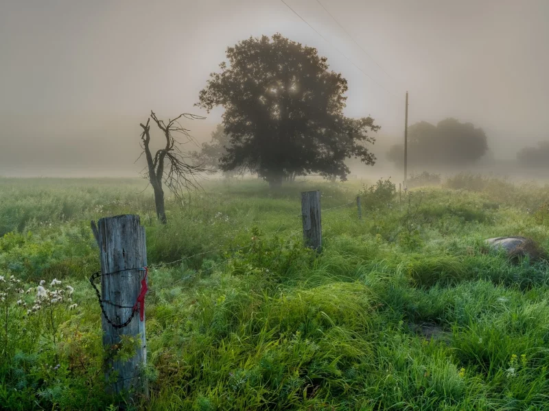 природа, красота