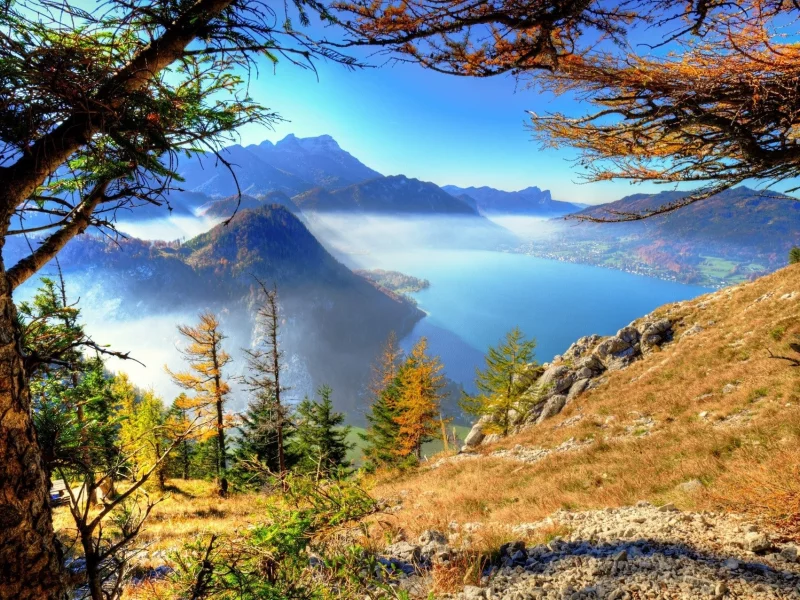 природа, красота