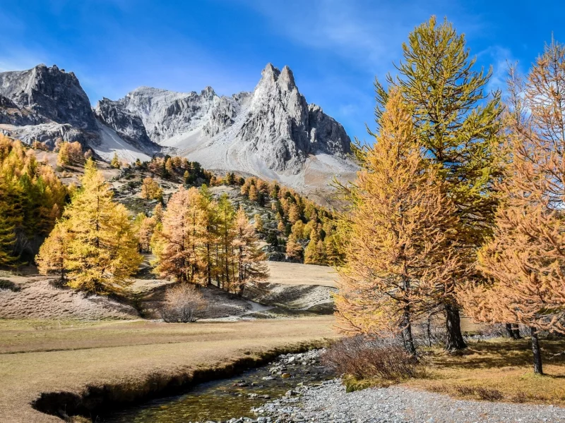 природа, красота