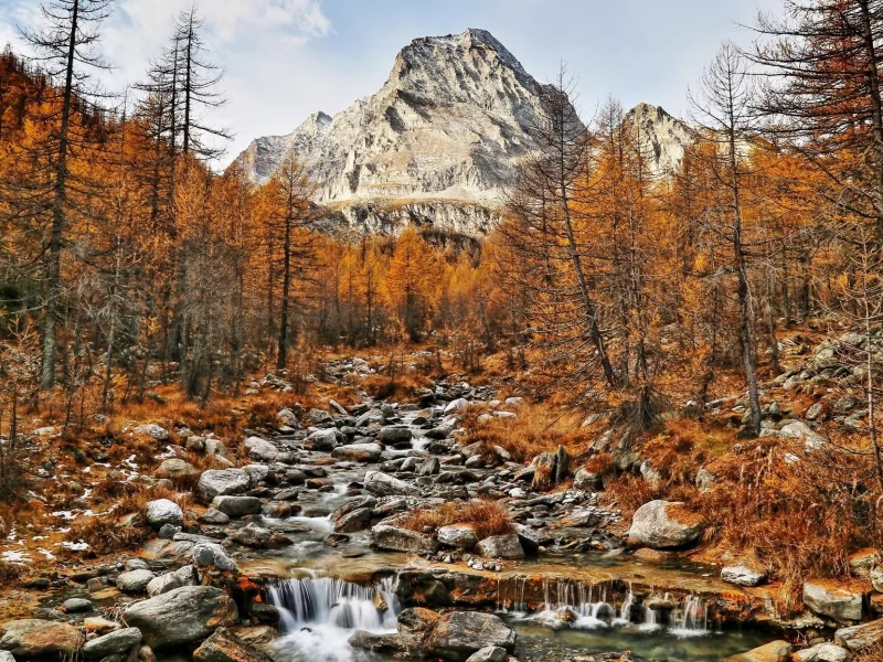 природа, красота