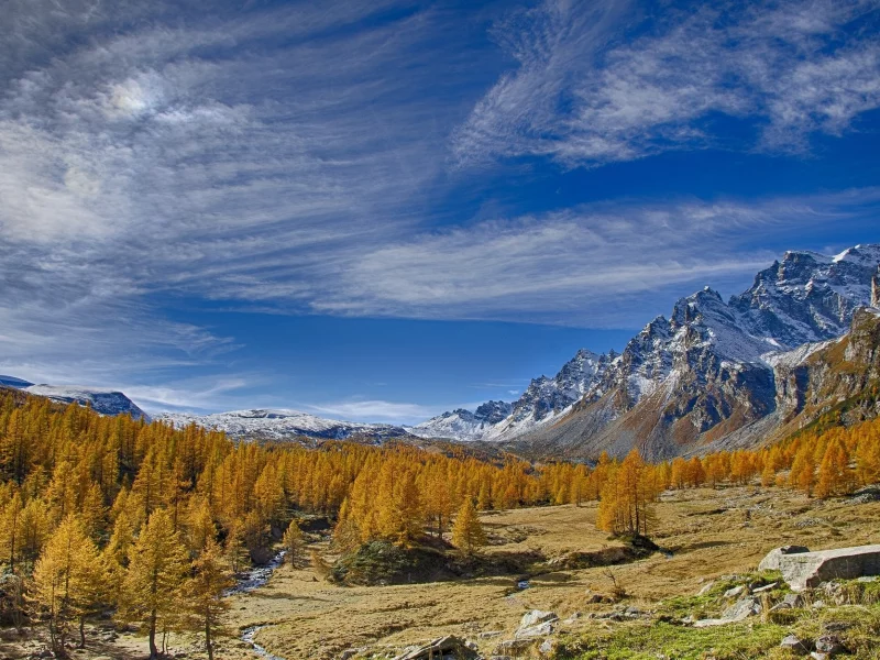 природа, красота