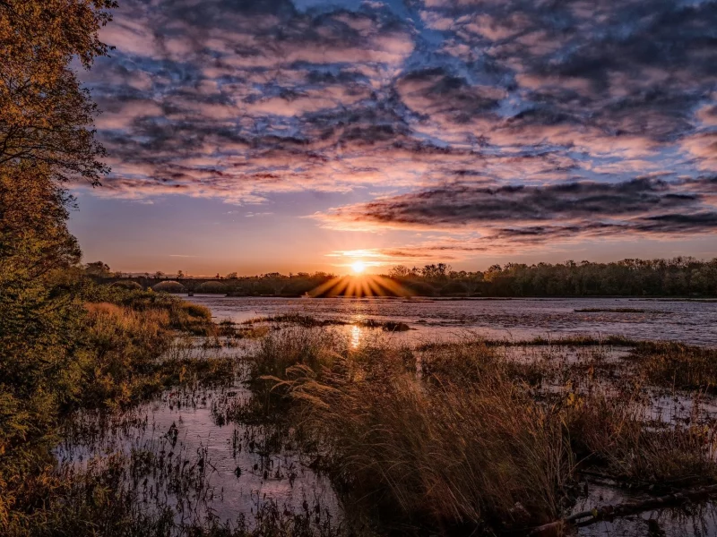 природа, красота