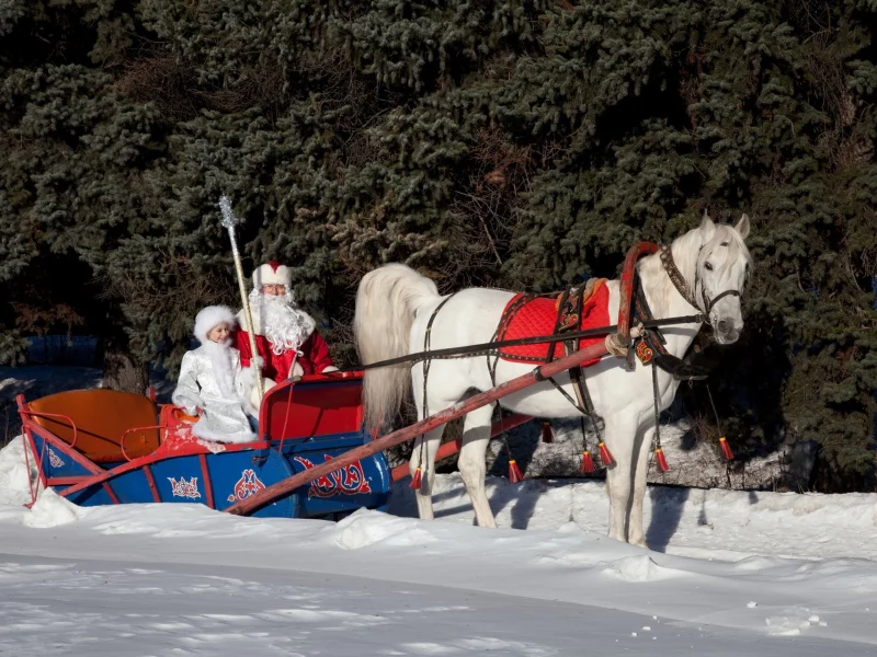 дед мороз, снегурочка, сани, новый год, grandfather, frost, snow maiden, sleigh, new year, snow, forest, winter, trees, field, see, sun, light, nice, wide