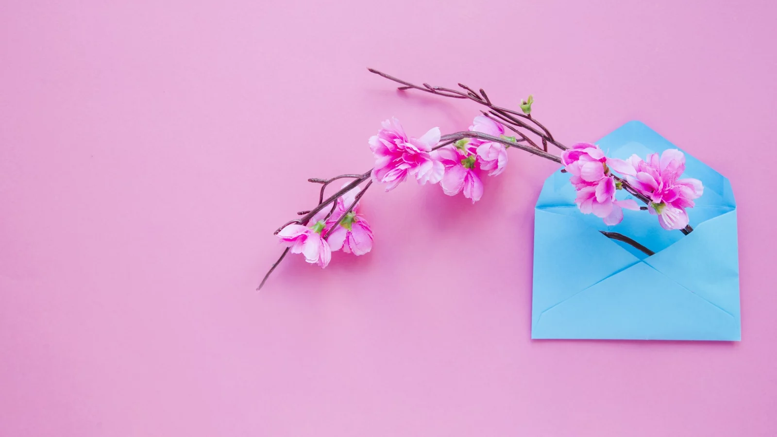 весна, розовые, blossom, pink, letter, конверт, фон, ветка, spring, flowers, цветы
