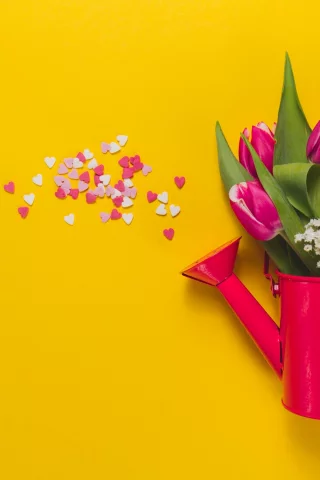 розовые, fresh, pink, тюльпаны, tulips, букет, spring, flowers, цветы