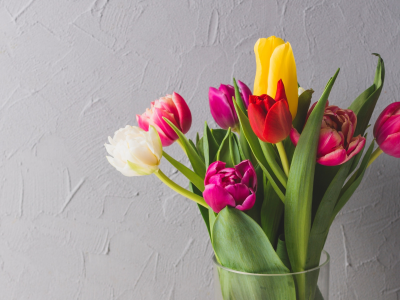 весна, fresh, colorful, тюльпаны, tulips, bright, яркие, букет, spring, flowers, цветы