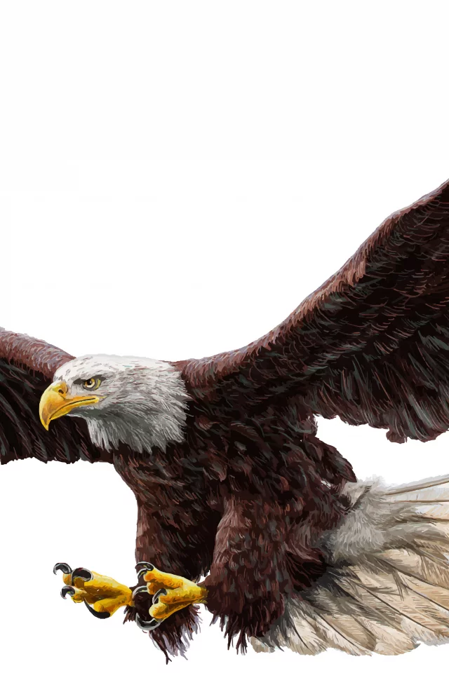 орел, крылья, полет, bald eagle, real