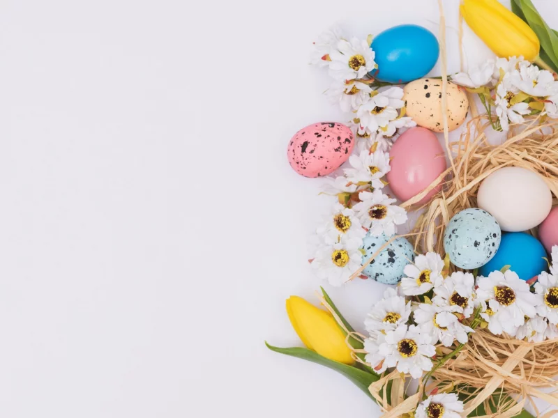 весна, decoration, ромашки, еaster, pink, пасха, tender, flowers, яйца крашеные, spring, eggs, appy, цветы