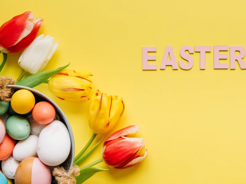 тюльпаны, tulips, eggs, яйца крашеные
