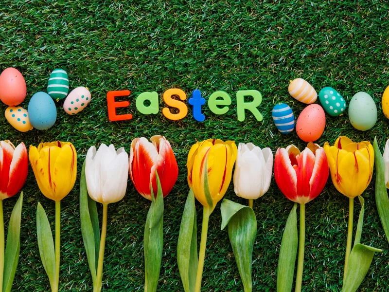 весна, трава, green grass, decoration, colorful, aster, асха, тюльпаны, tulips, spring, яйца крашеные, eggs, appy, flowers, цветы