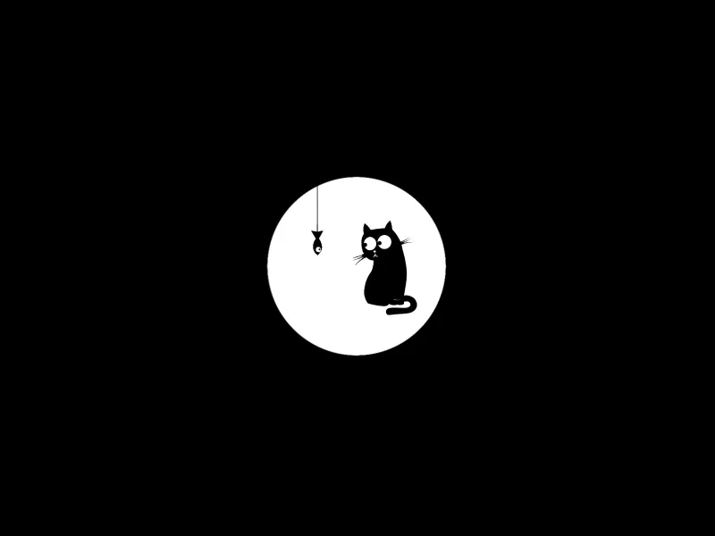 чёрно белая, на веревочке, рыбешка, пищевая цепочка, черный кот