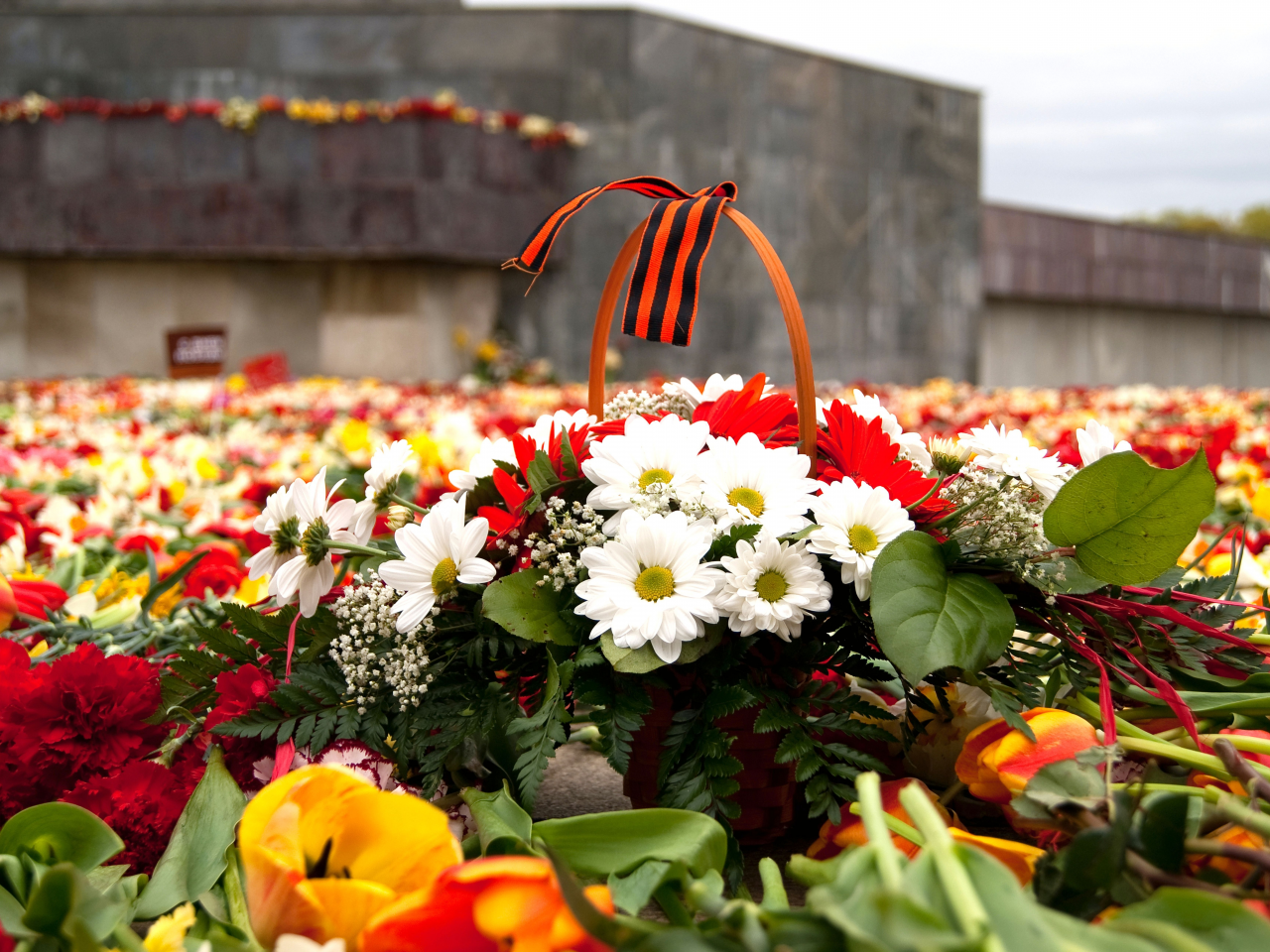 victory day, 9 may