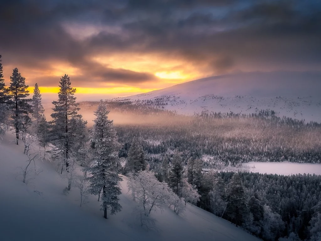 природа, пейзаж