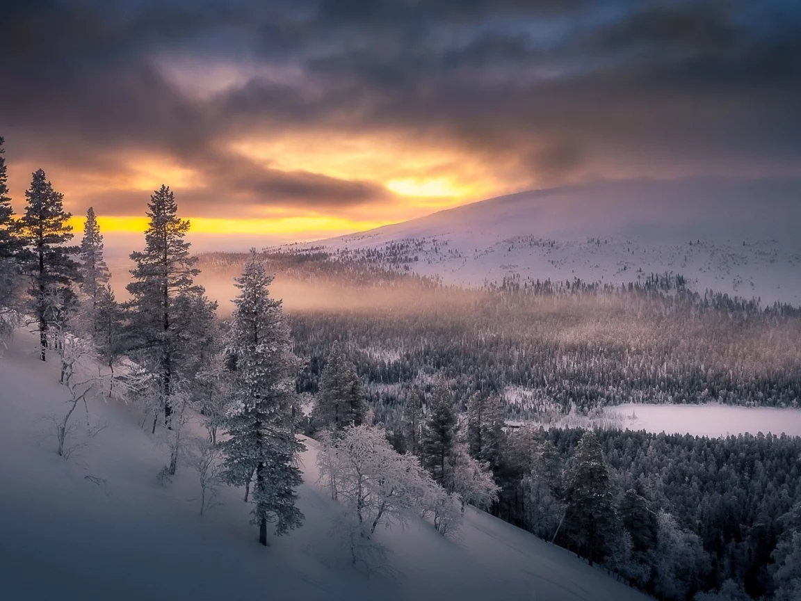 природа, пейзаж