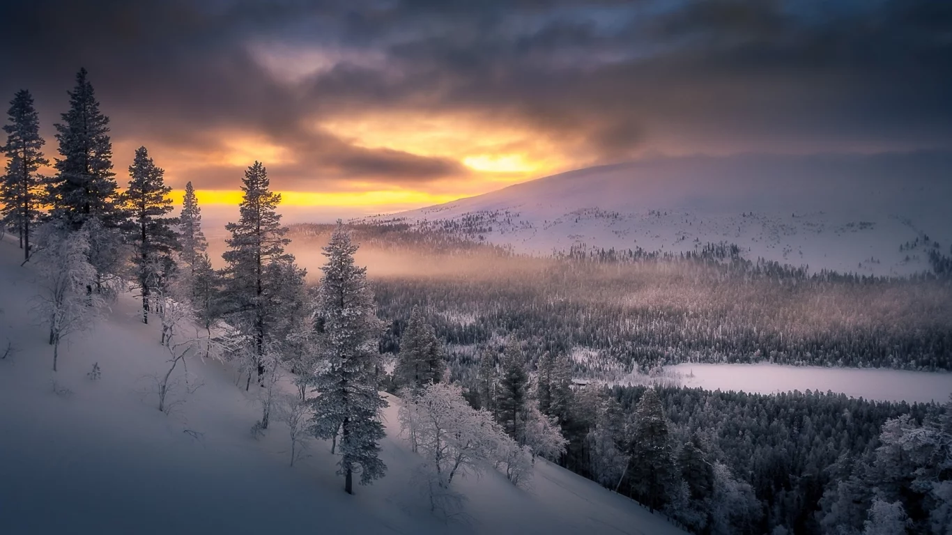 природа, пейзаж