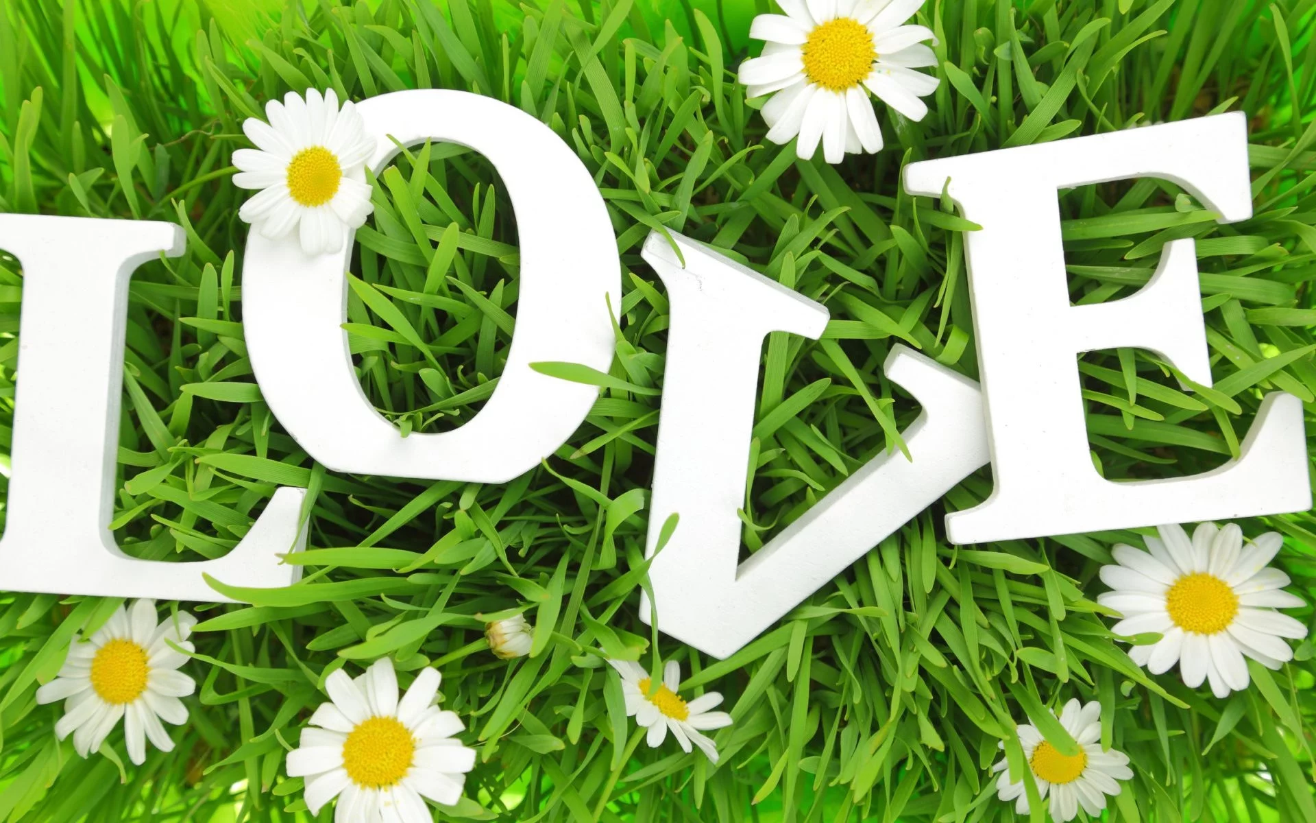 трава, буквы, любовь, ромашки, влюбленная, grass, letters, love, chamomile