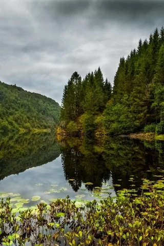 природа, пейзаж