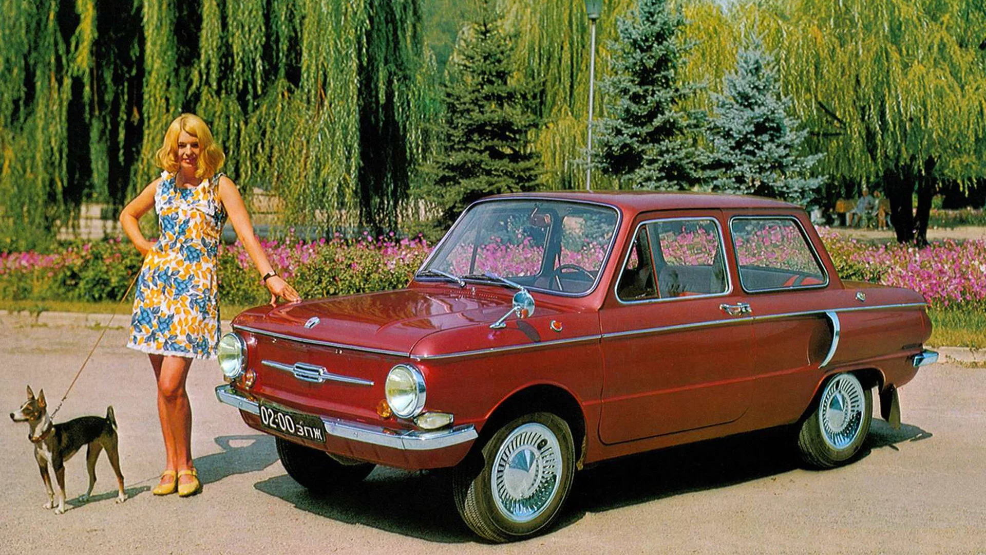 девушка, ножки, грудь, ретро фото, машина, девушка с собачкой, девушка и машина, запорожец, природа, машина запорожец, рыжая девушка, платье в цветочек, мини платье