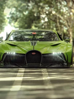 bugatti, divo