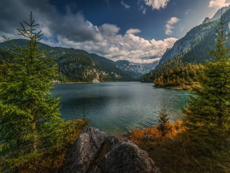 любов, поглед, усмивка