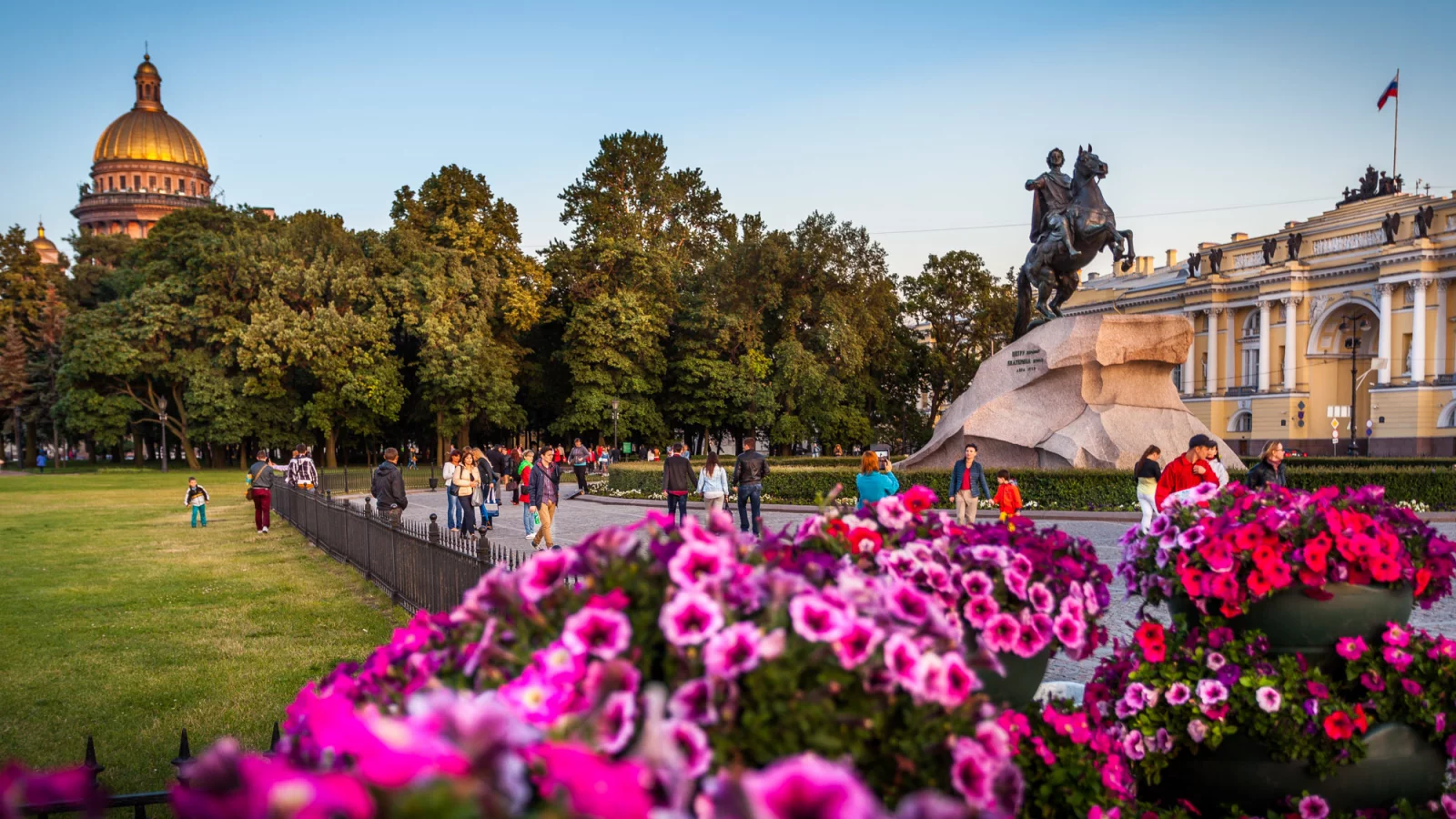 петербург, площадь декабристов, сенатская, памятник, пётр первый, цветы, лето