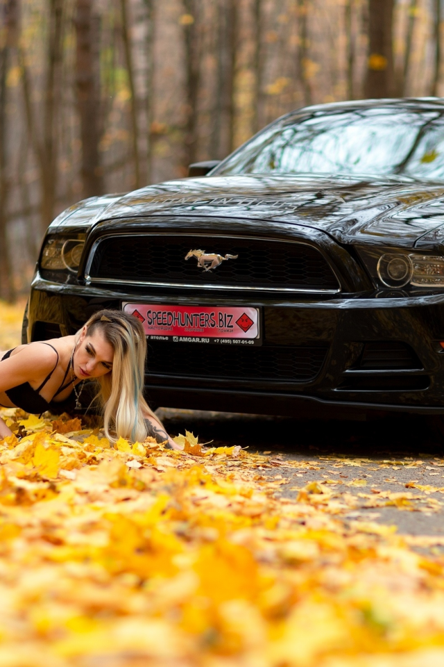 ford, mustang, black, cars, осень