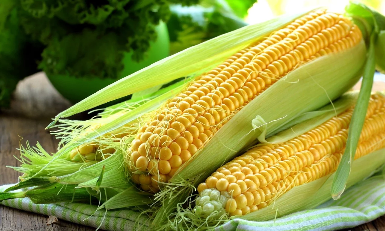 кукуруза, початки