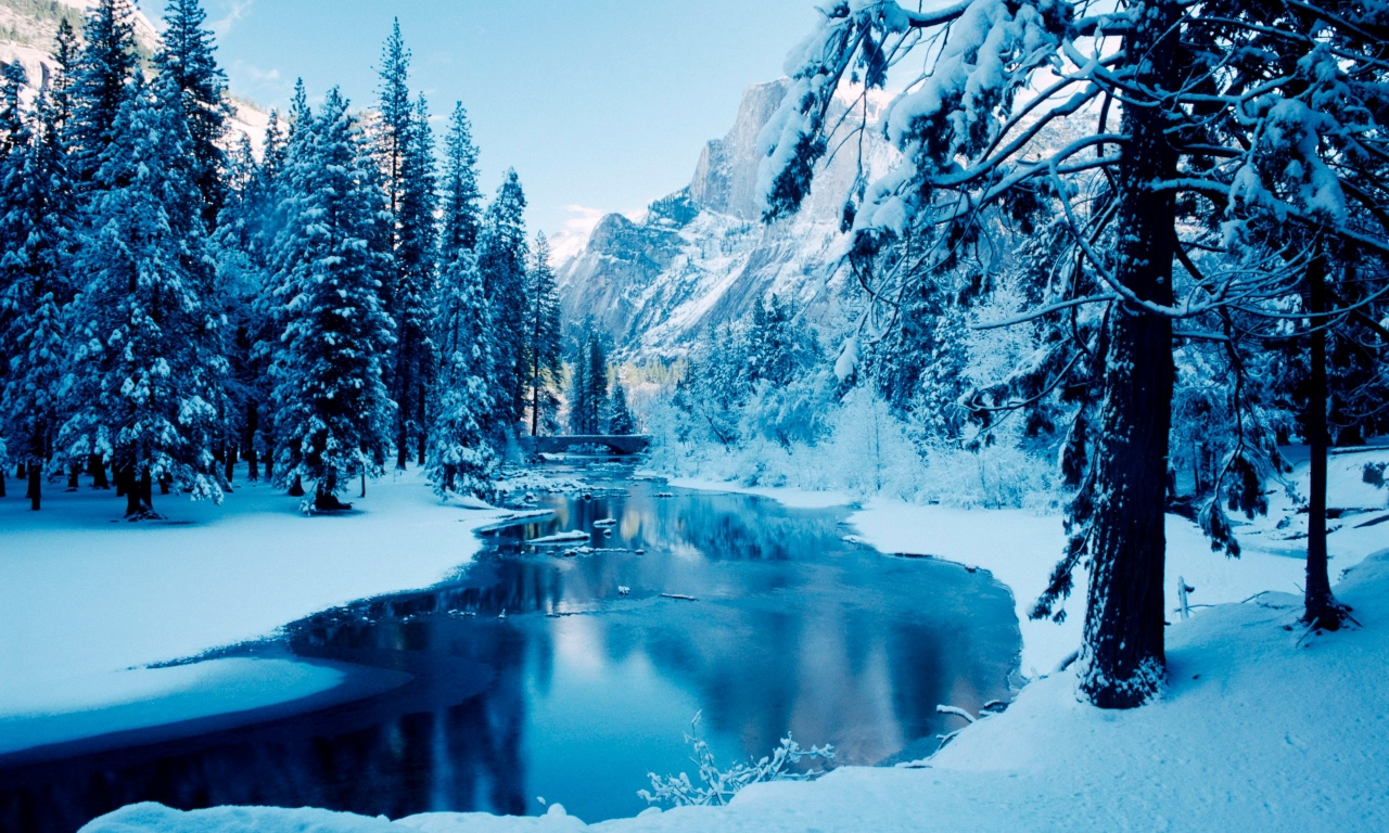 зимний, пейзаж, лес, речка