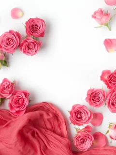 фон, бутоны, розы