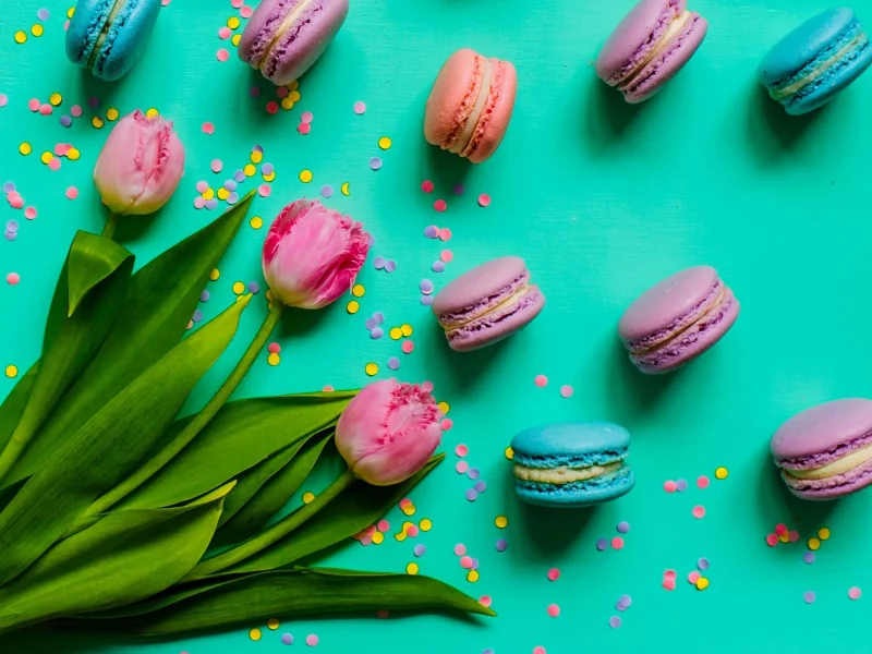 pink, tulips, macaroon