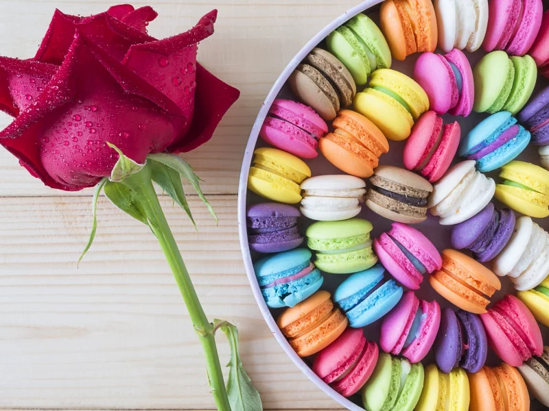 macaron, dessert, candy