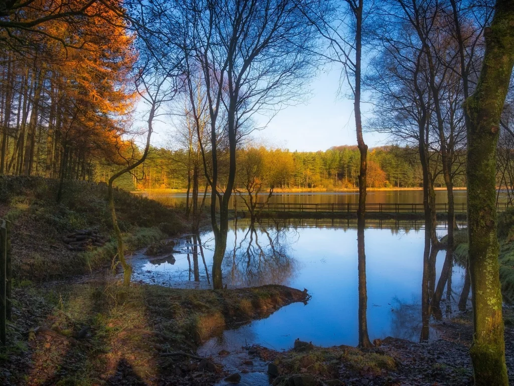природа, красота, пейзаж