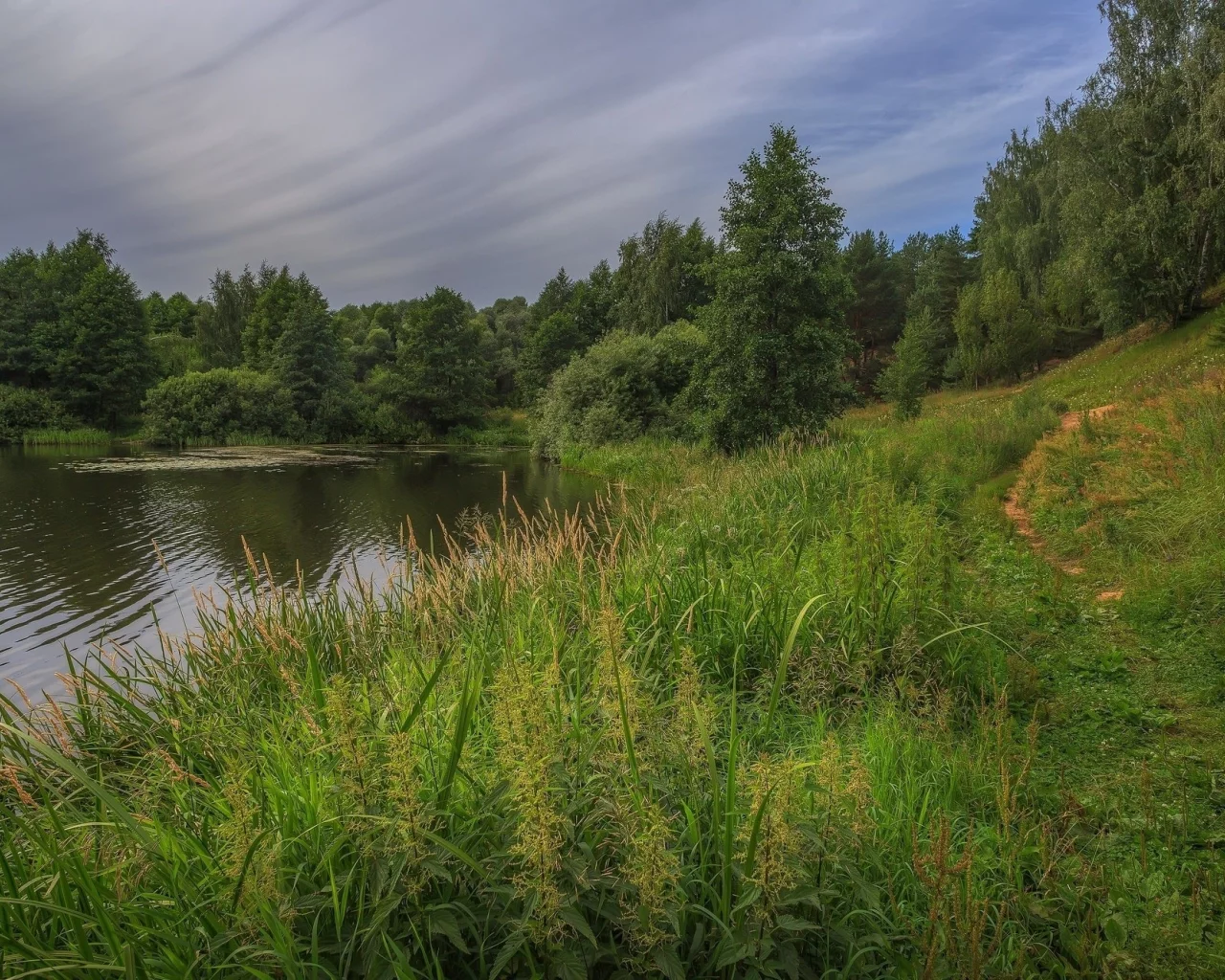 река, трава