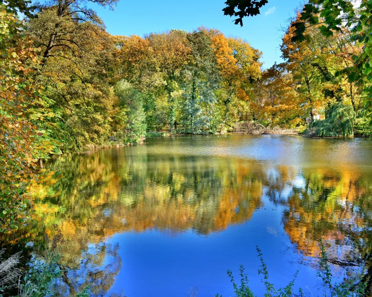 осень, озеро